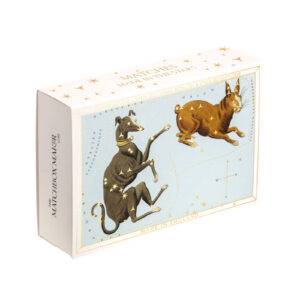 Astrology Canis Major